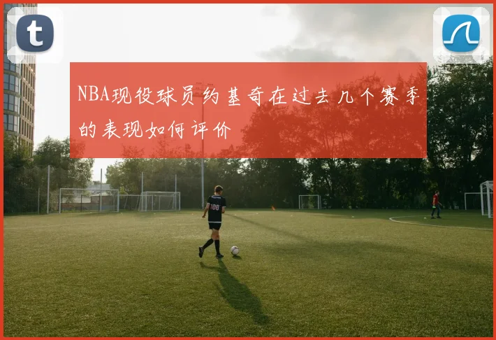 NBA现役球员约基奇在过去几个赛季的表现如何评价