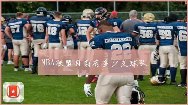 NBA联盟目前有多少支球队