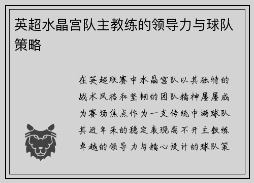 英超水晶宫队主教练的领导力与球队策略