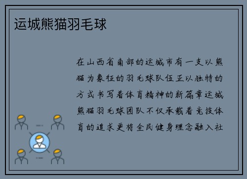 运城熊猫羽毛球
