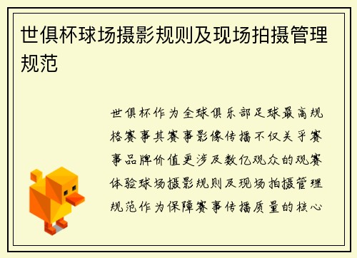 世俱杯球场摄影规则及现场拍摄管理规范